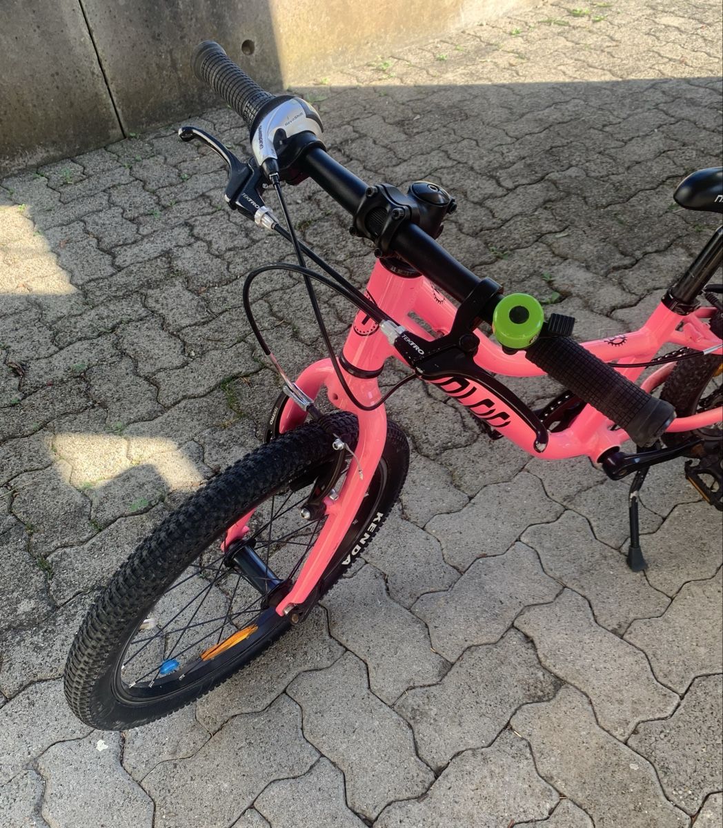 Naloo Biciclette: Naloo chameleon 20 Zoll – Usato da Binz venduto da denise014 1