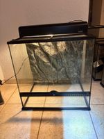 Terrarium Exo Terra 60x45x60