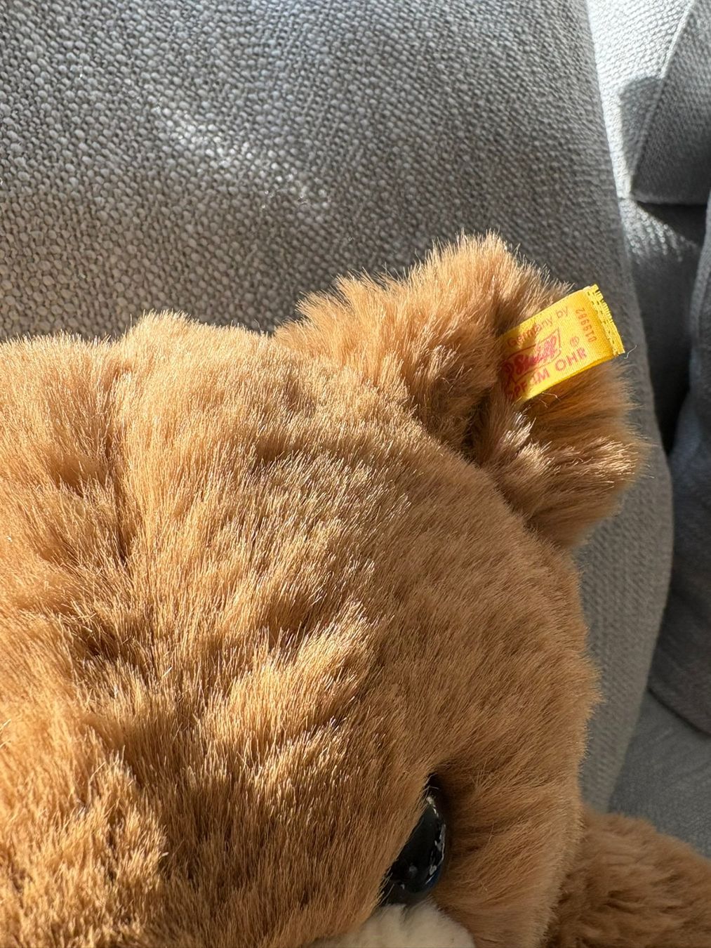 Steiff Giocattoli: STEIFF Teddy Bär Molly 50cm NEU – Nuovo (secondo la descrizione) da Egg b. Zürich venduto da eve_h8pg 5