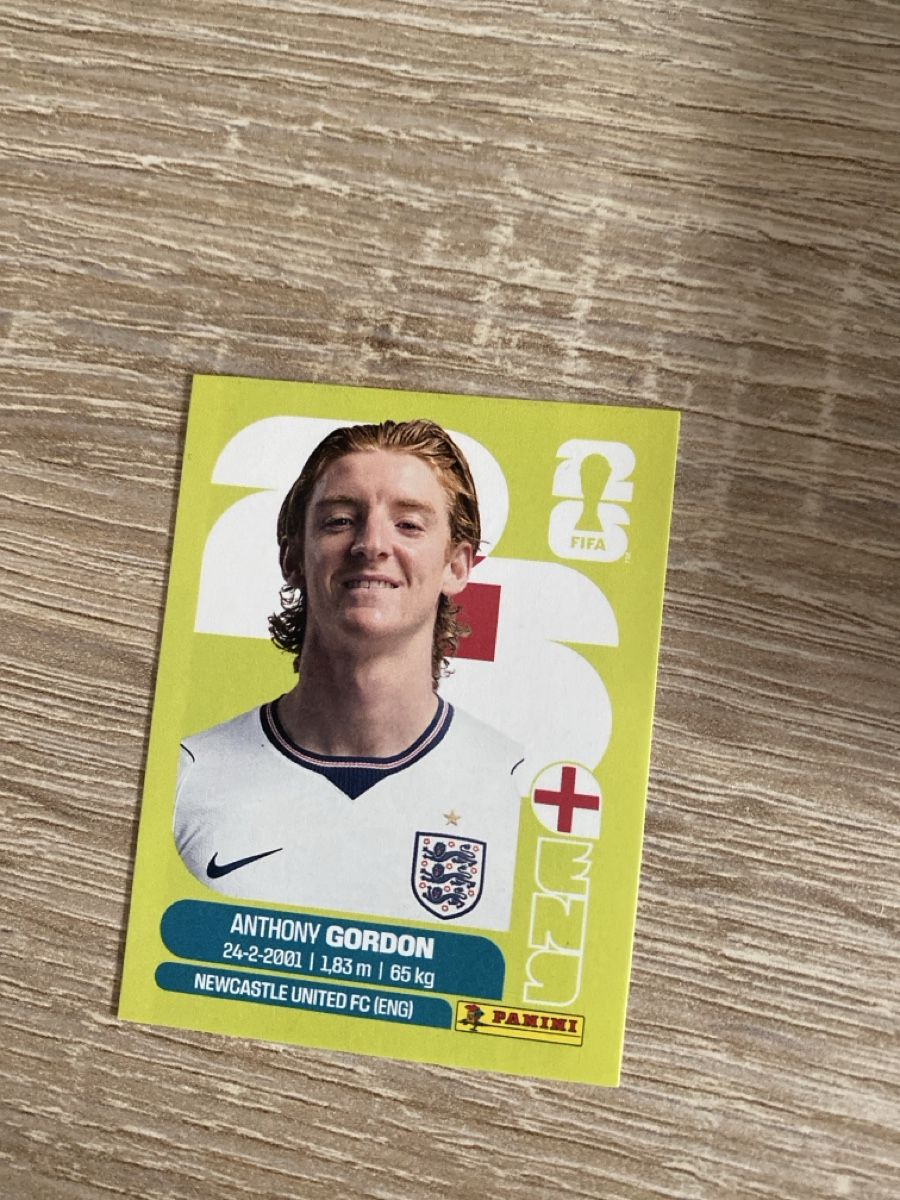 Panini Carte collezionabili: Panini ENG 15 – Nuovo e nell'imballaggio originale da Gränichen venduto da lia_1997_