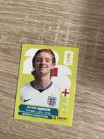 Panini ENG 15