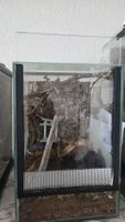terrarium 20x20x30