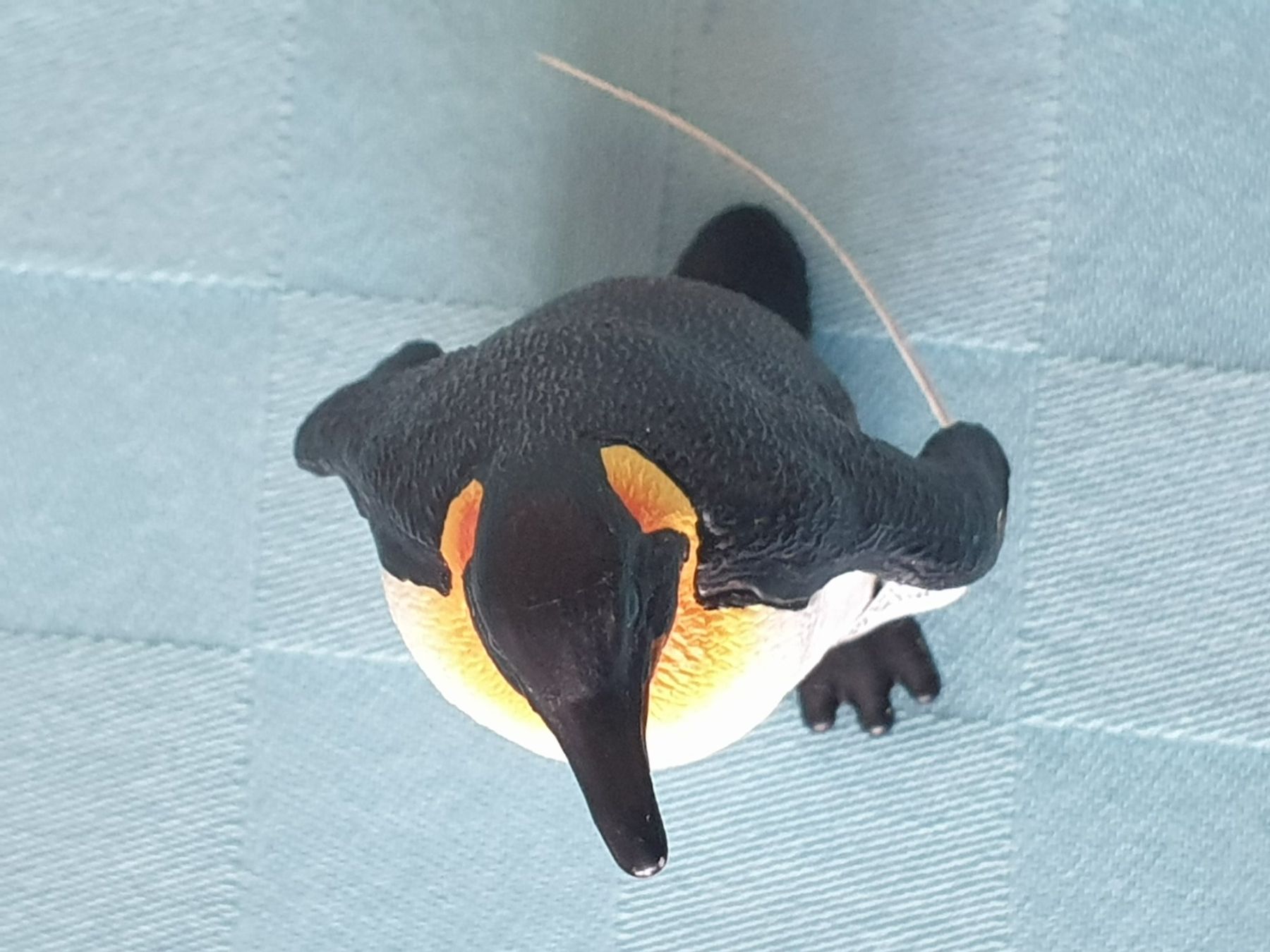 Schleich Statuette: Pinguin Zootier Tier Schleich – Nuovo (secondo la descrizione) da Mörschwil venduto da spirspi 3