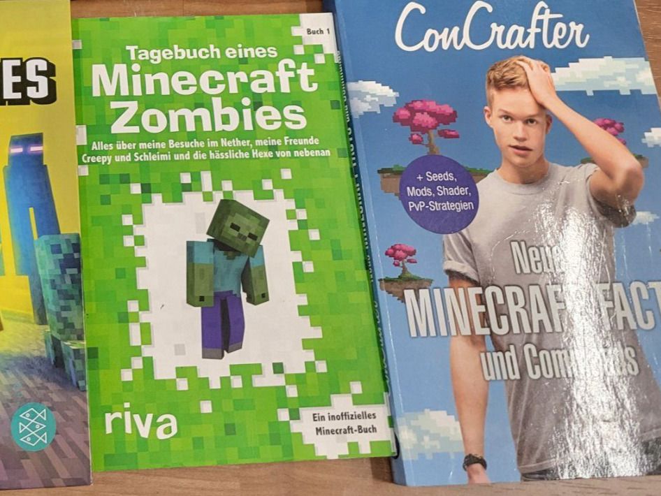 Libri: 2 Minecraft Bücher  B2 – Usato da Spiegel b. Bern venduto da Flamingo07
