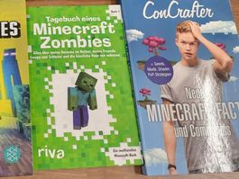 2 Minecraft Bücher  B2