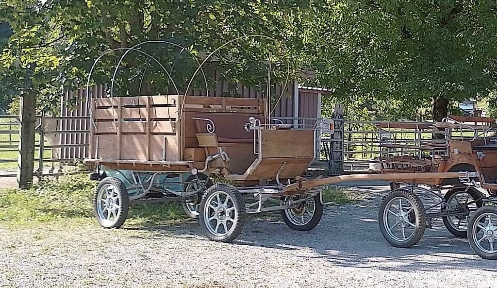 Kutschen: Gesellschaftswagen, Kutsche – Gebraucht aus Burgdorf von RosiVera