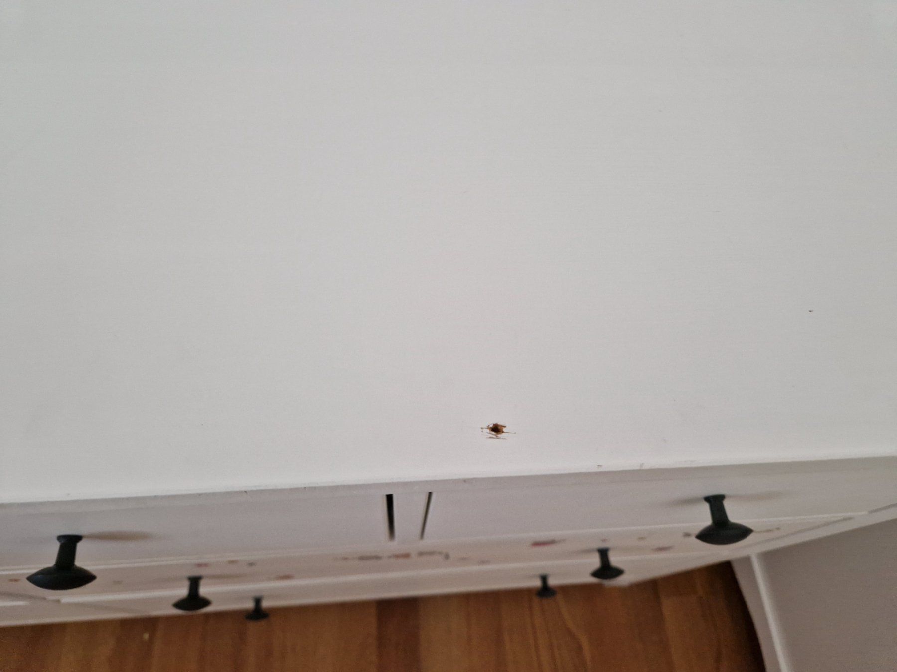 Ikea Cassettiere: IKEA Hemnes Kommode – Usato da Grossdietwil venduto da sal_8mst 1