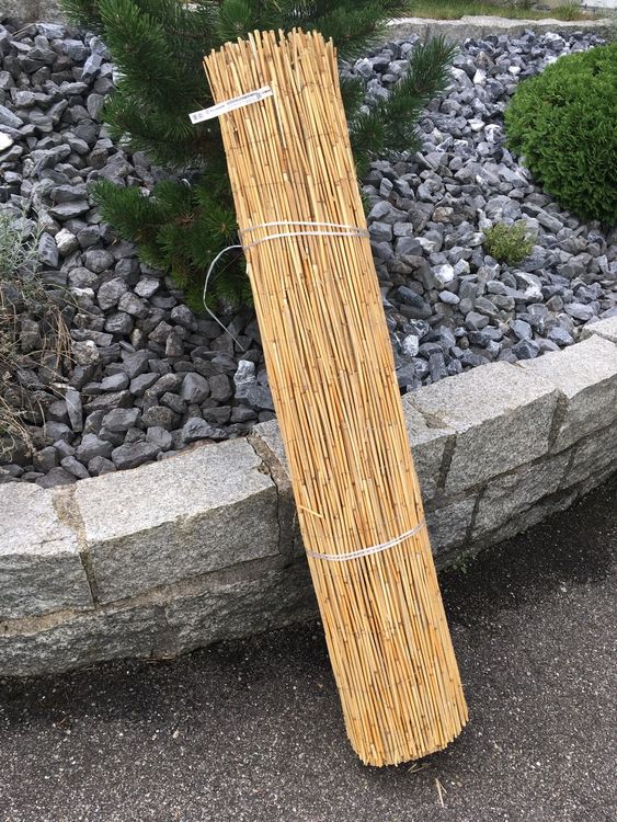Schilfrohr Sichtschutz Kaufen auf Ricardo