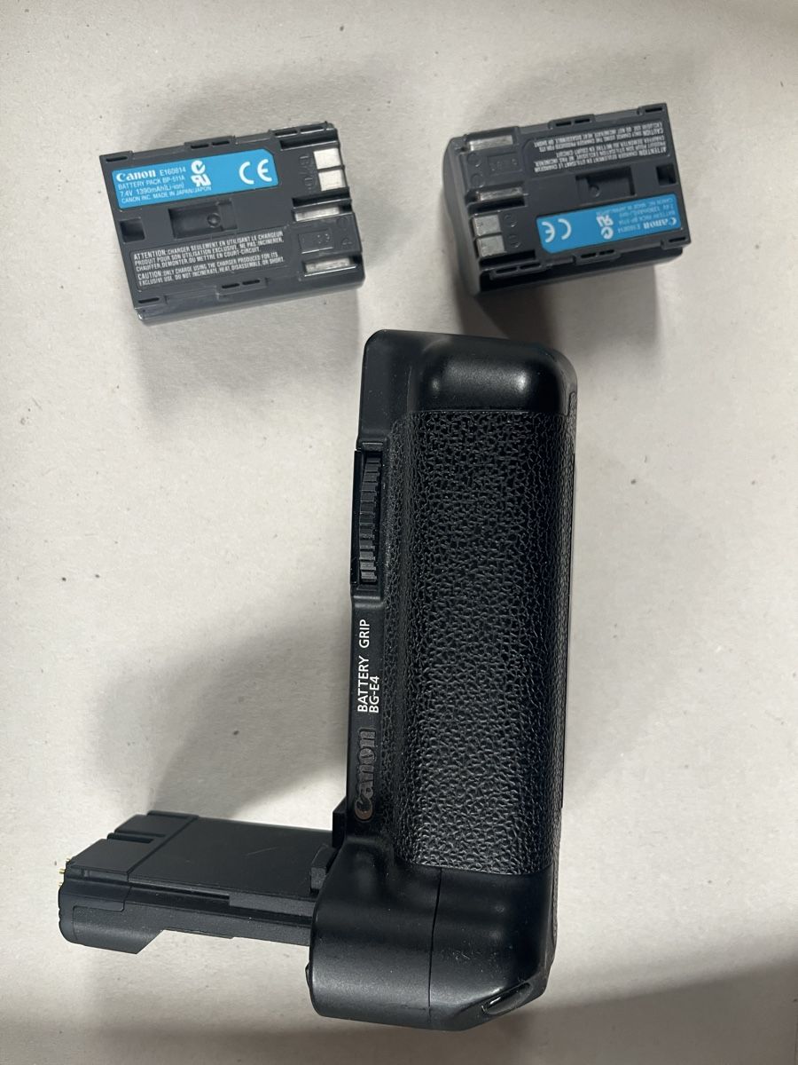 Canon Batterie: Canon Battery Grip BG-E4 inkl. 2x Batterie – Usato da Chur venduto da Misssami