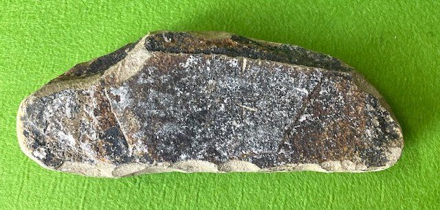 Fossili: Ammonit Fossilien – Usato da Oberrieden venduto da Ket25 3