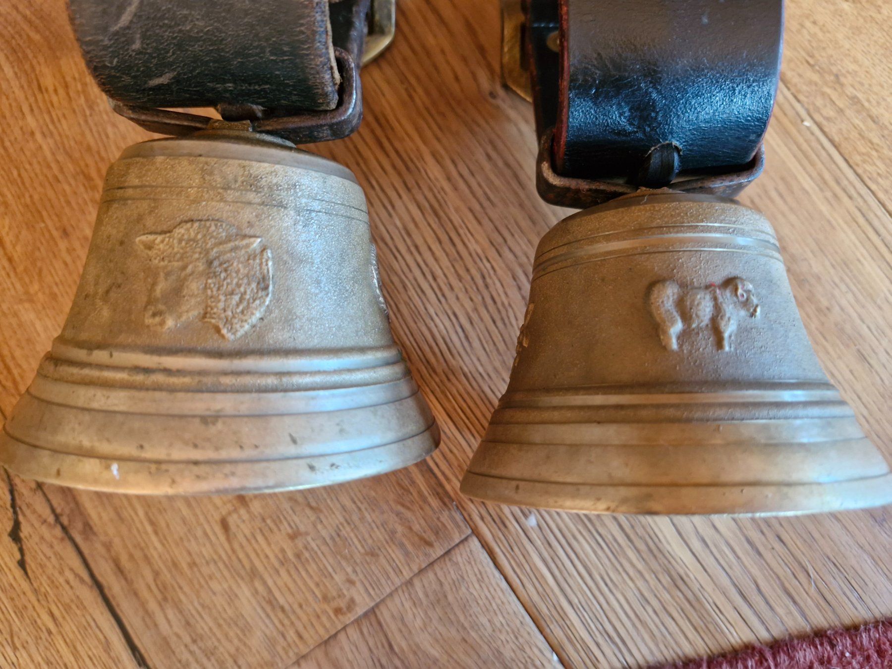 Campanacci mucche: Ziegen-Schafglöggli – Usato da Guarda venduto da rue_bpd7 2