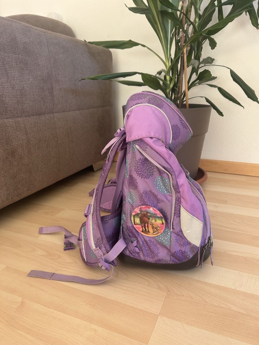 Ergobag Kindertaschen: Schulrucksack Ergobag lila mit Etuis, Einhorn gebraucht – Gebraucht aus Zug von die_2k2w 1