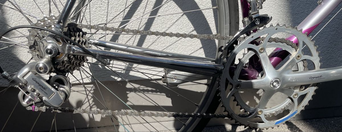 Biciclette: F Moser Rennrad ab grossem Service – Usato da Zürich venduto da SympaCycles 3