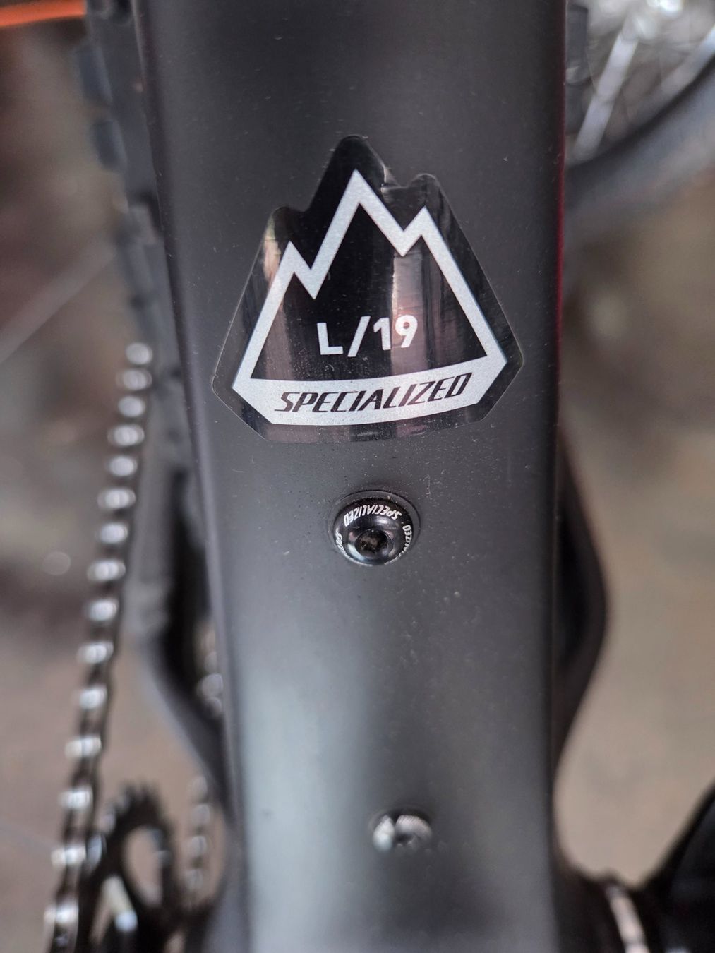 Specialized Biciclette: Specialized Fatboy - Carbon Rahmen - Grösse L/19 – Usato da Kriegstetten venduto da Tamandua 9