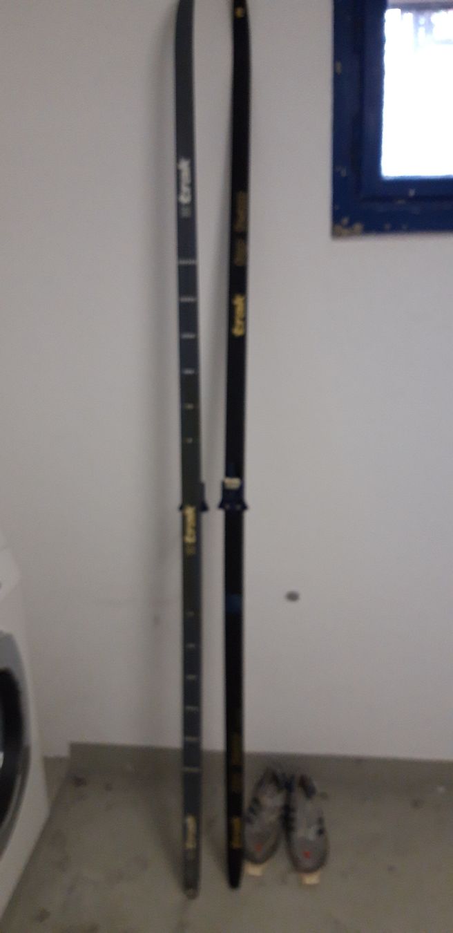 Skis: Langlauf-Ski – Gebraucht aus Burgdorf von Hodel1