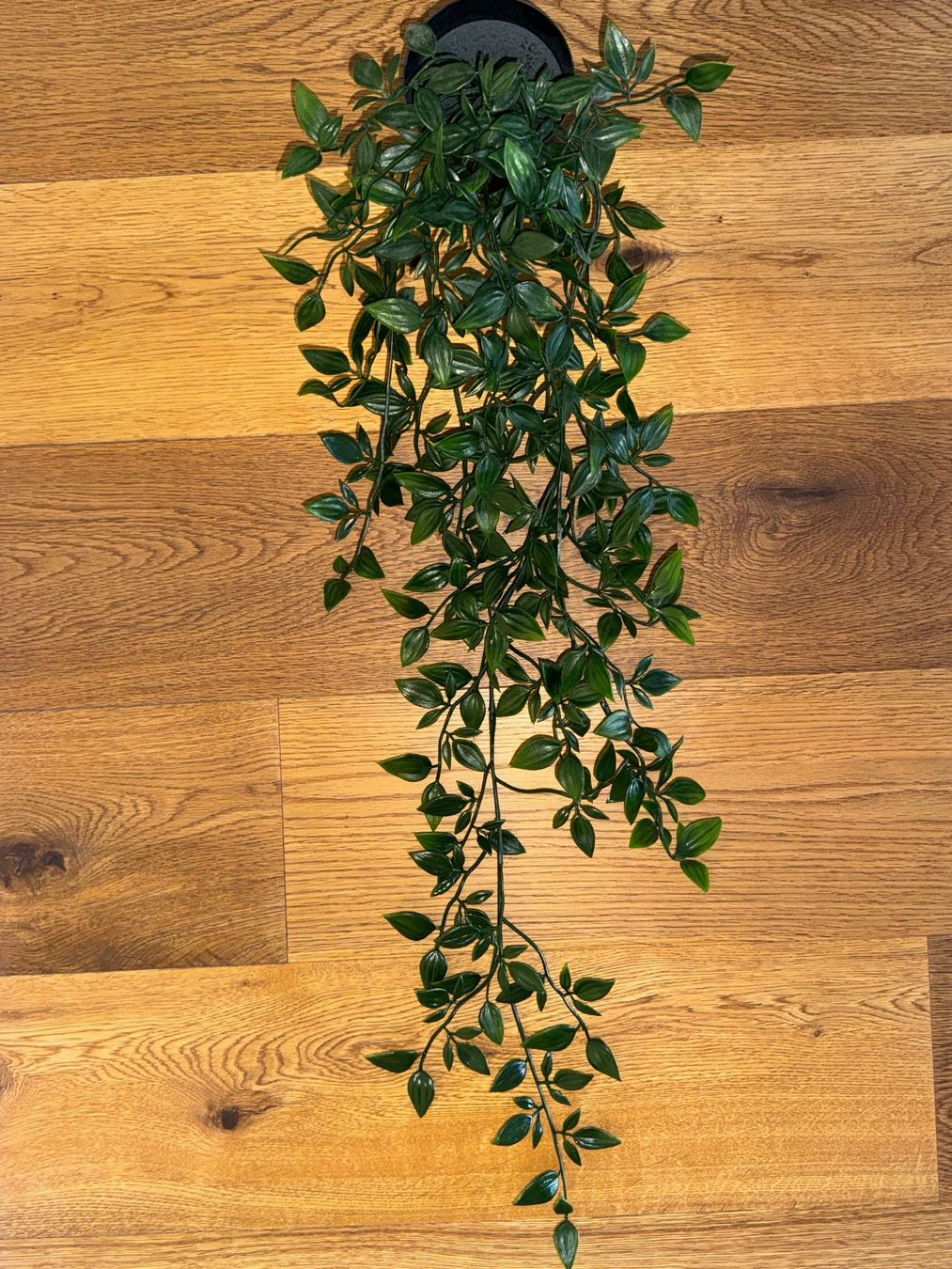 Toutes les décorations: Dekopflanze Plastik IKEA – D'occasion à Baar par melanielu 3