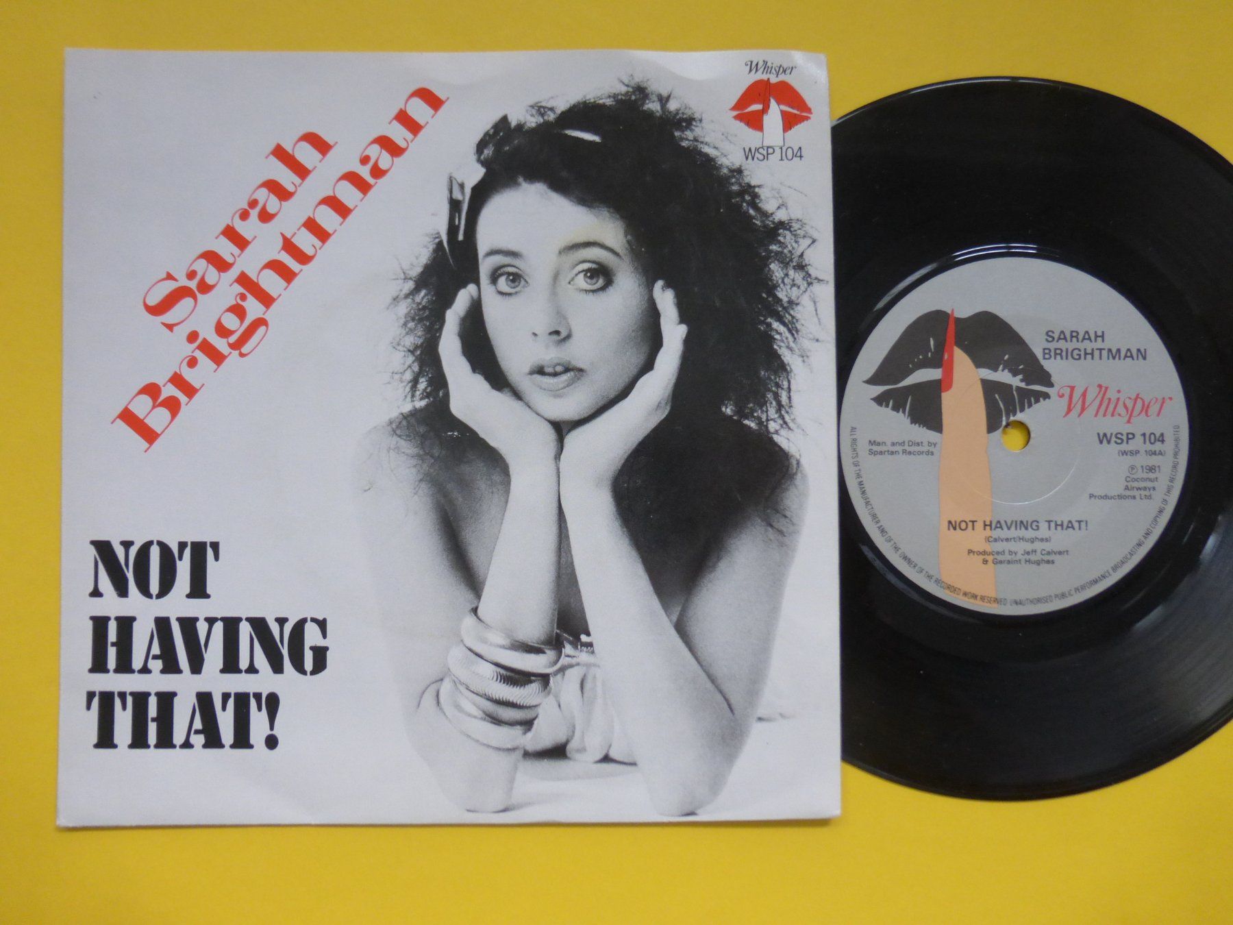 Schallplatten: Sarah Brightman – Not Having That! – Gebraucht aus Zürich von Swiss57
