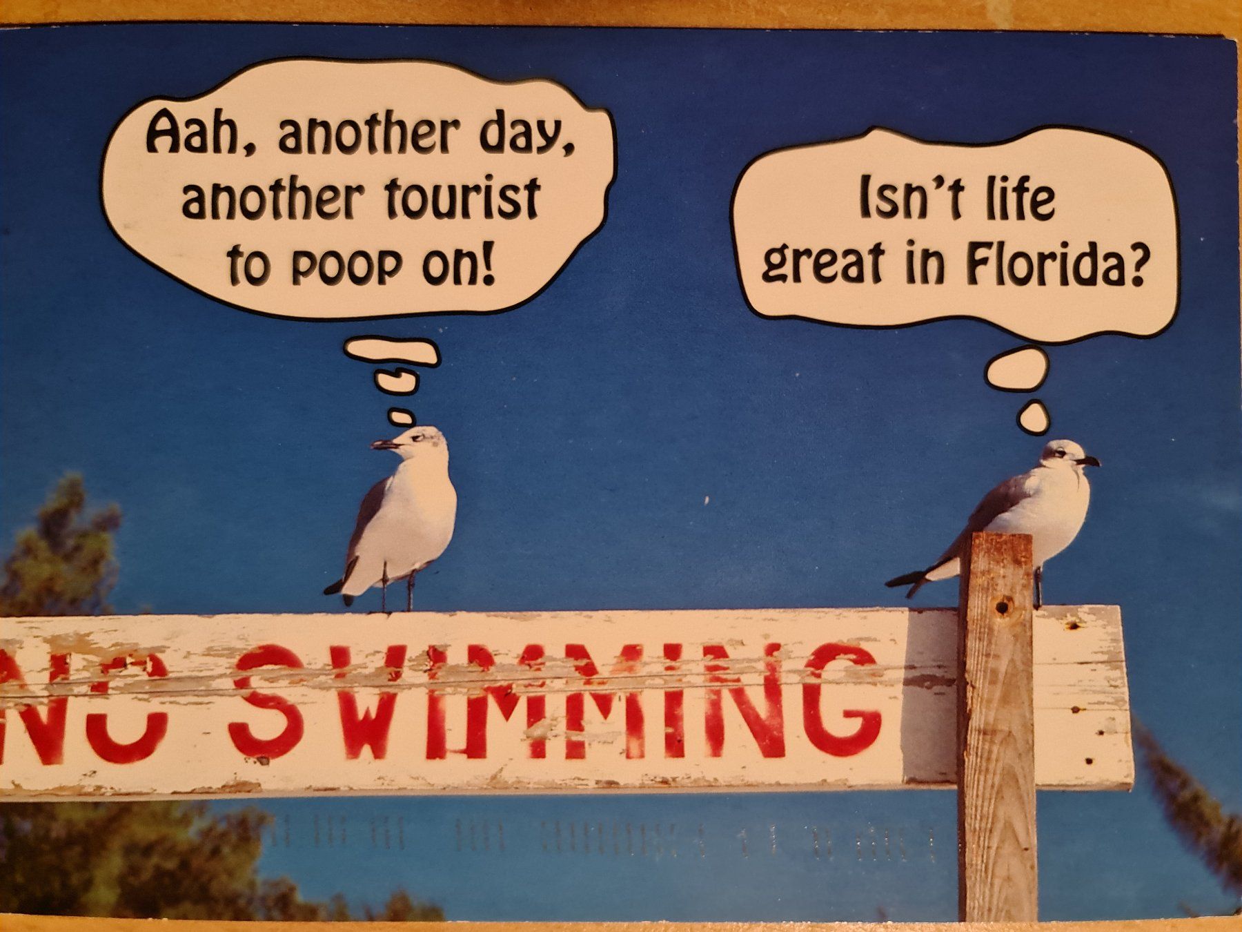 Cartoline postali: Ansichtskarte another day in Florida USA – Usato da Dintikon venduto da Vexi