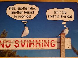 Ansichtskarte another day in Florida USA