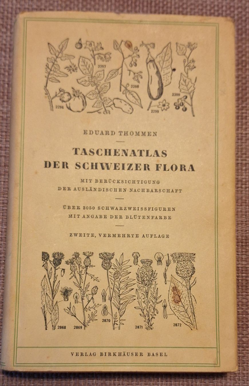 Libri: Taschenatlas der Schweizer Flora – Usato da Grabserberg venduto da Sahara947