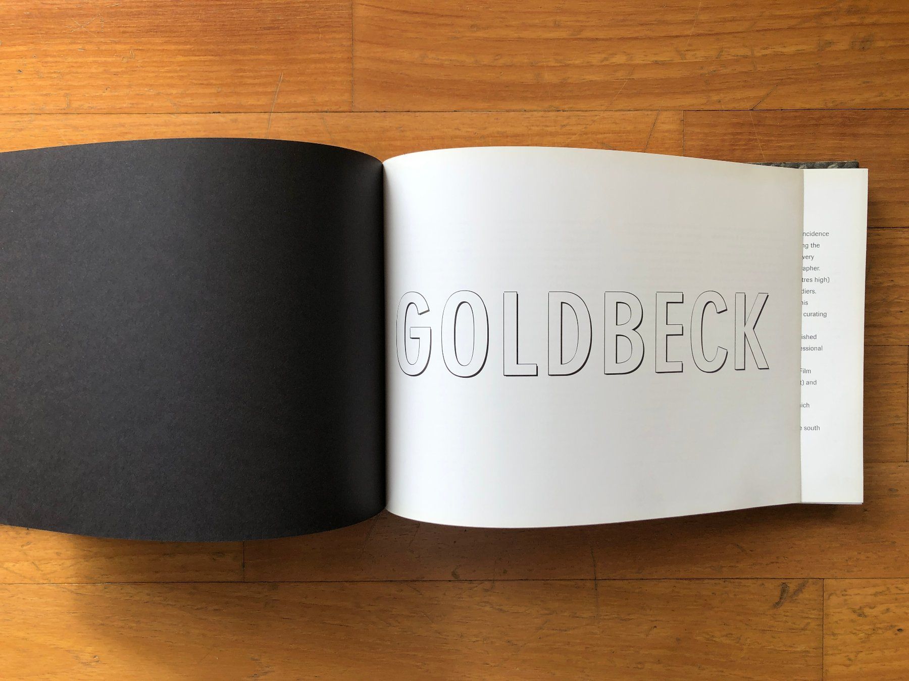 Libri: Photo Buch: EUGENE O. GOLDBECK – Usato da Lugano venduto da gio.yo 1