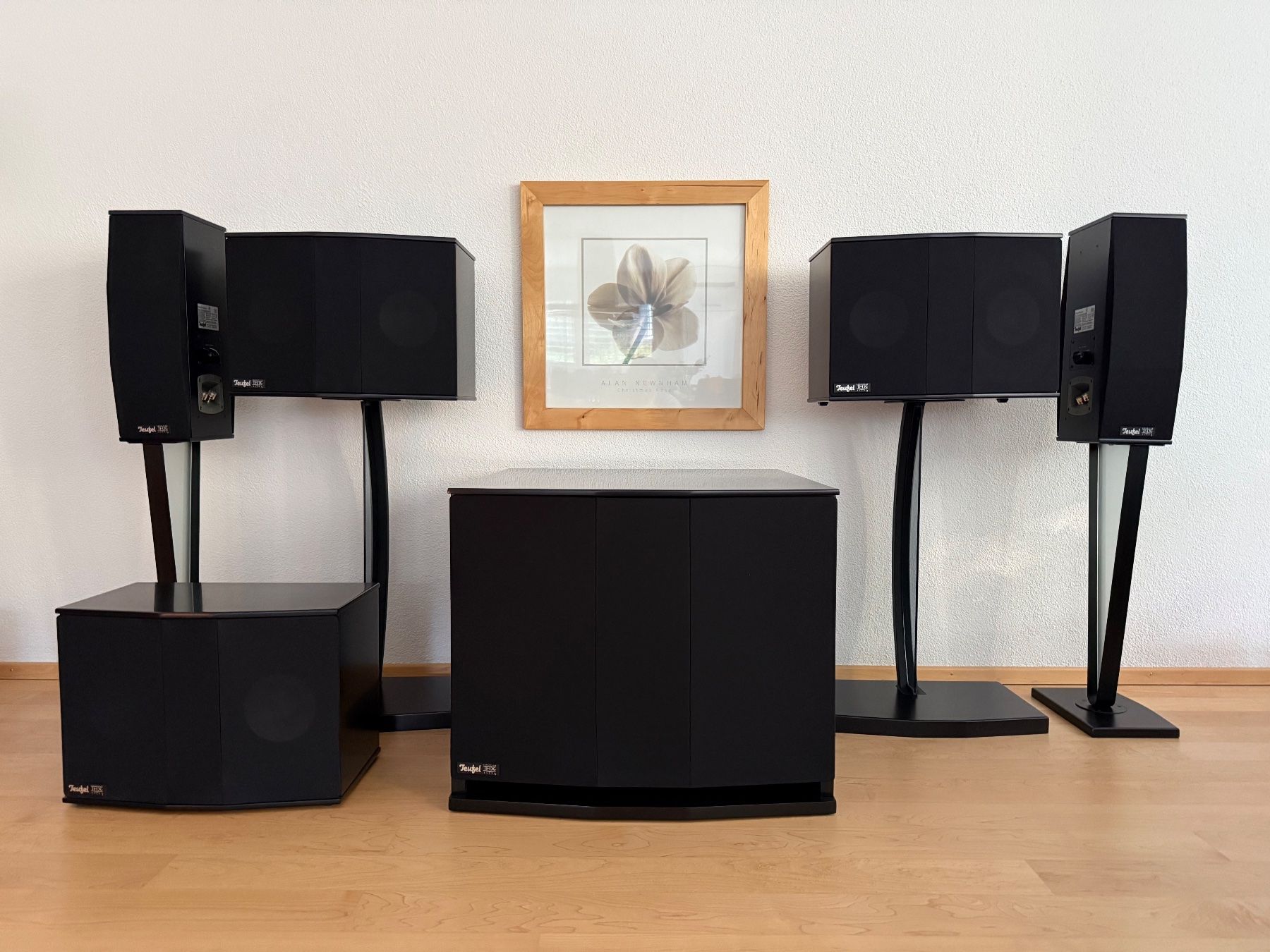 Teufel Home Cinema: Teufel Theater 8 THX 2 Ultra – Usato da Flawil venduto da extreme21 2
