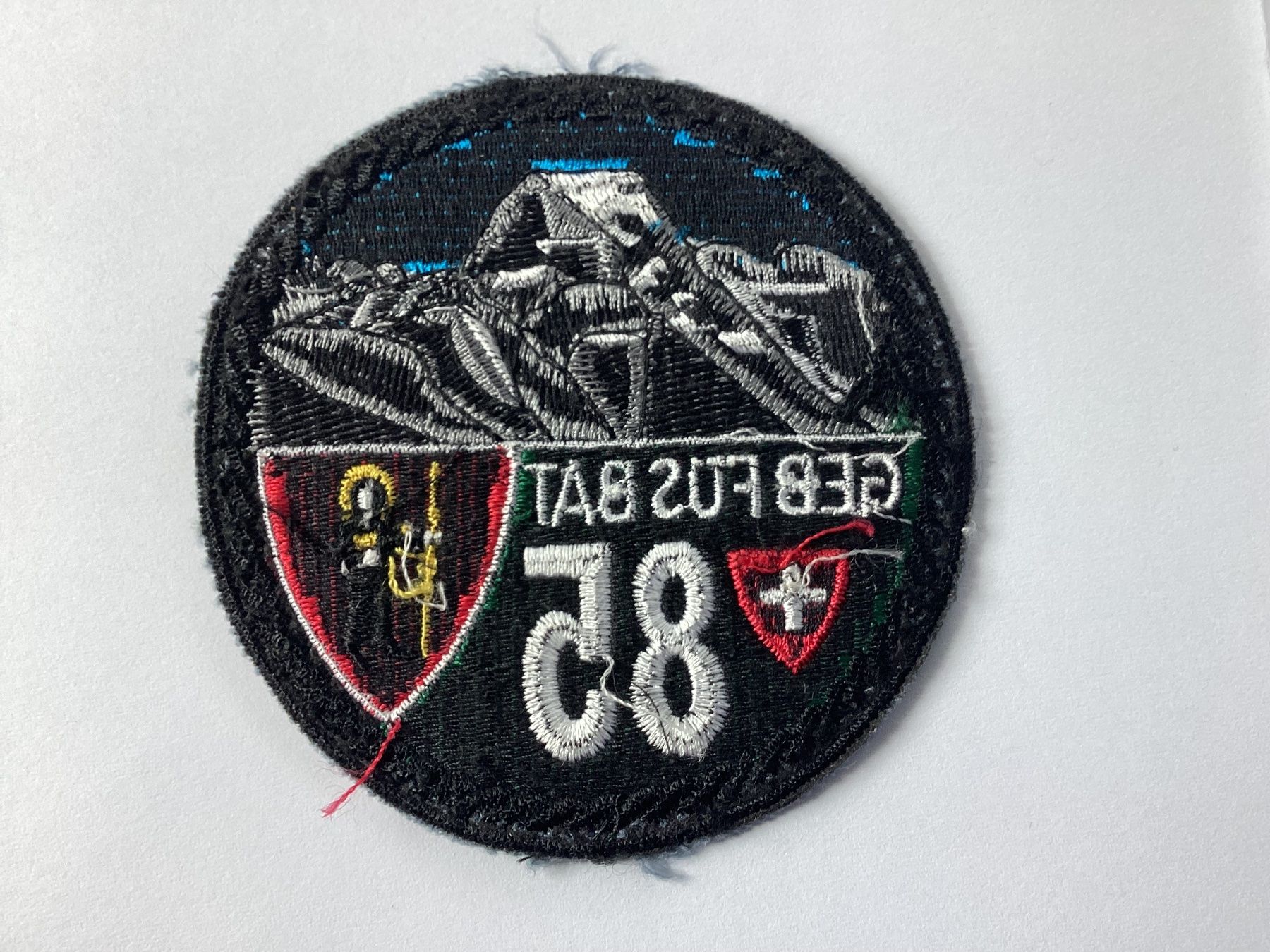 Schweizer Armee Plaketten & Abzeichen: Badges – Gebraucht aus niederurnen von Hagugelmann 1
