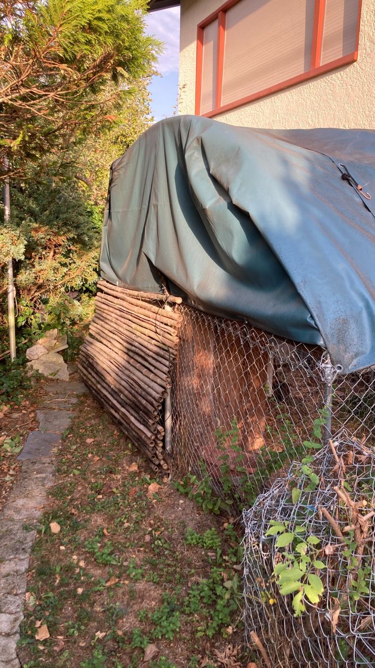 Käfige, Transport & Sicherheit: Freigehege Kleintier Käfig Stall – Gebraucht aus Zwingen von Hugom 2