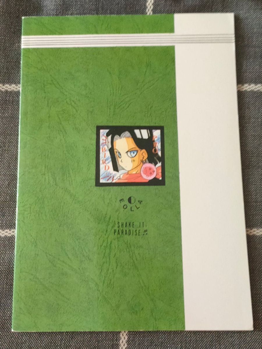 Comics: Dragonball Fan Book Green Dragon Act3 – Gebraucht aus Zürich von Henshin623 1