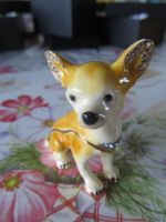 Schmuckschatulle Pillendose  Chiwawa mit  Box Neu VERSAND!