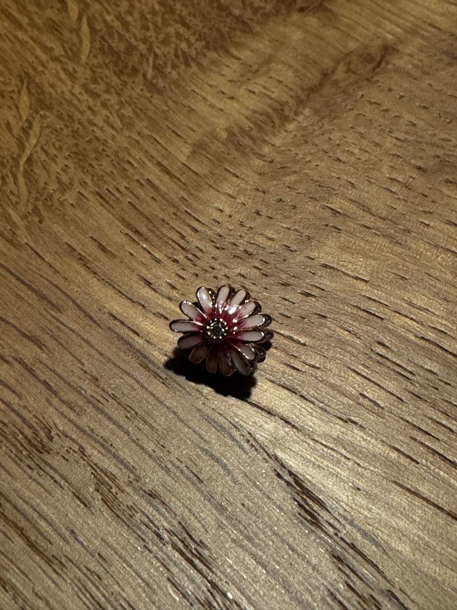 Pandora Ciondoli: Pandora Charm Blümchen Gänseblümchen Rose – Nuovo (secondo la descrizione) da Scherz venduto da spike22.5 1