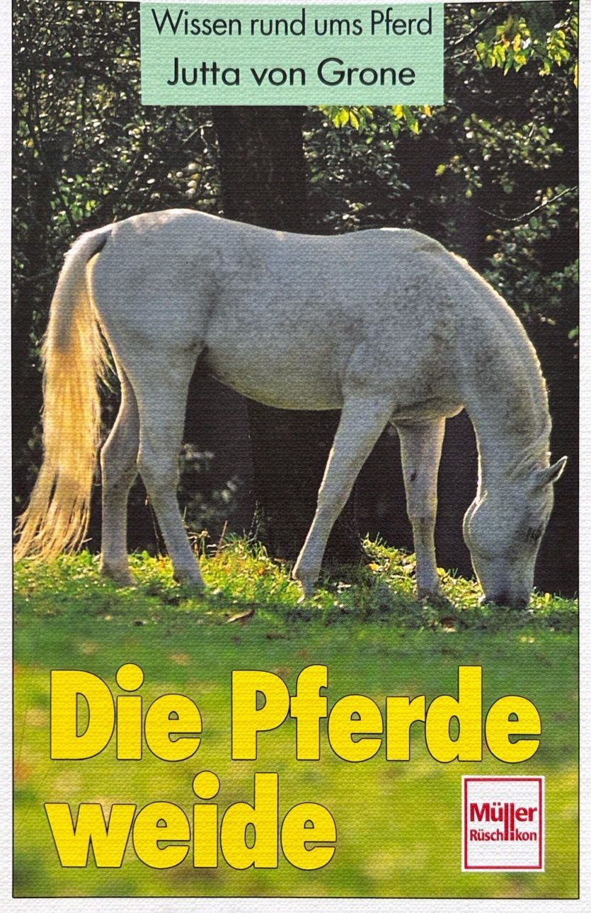 Libri: Jutta von der Grone, Die Pferdeweide – Nuovo (secondo la descrizione) da Sarnen venduto da Livres