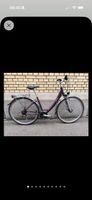 Citybike Cross violett Shimano Schaltung guter Zustand