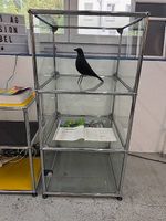 USM Haller Vitrine