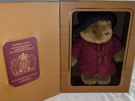 Paddington Bär im Koffer mit Pass guter Zustand