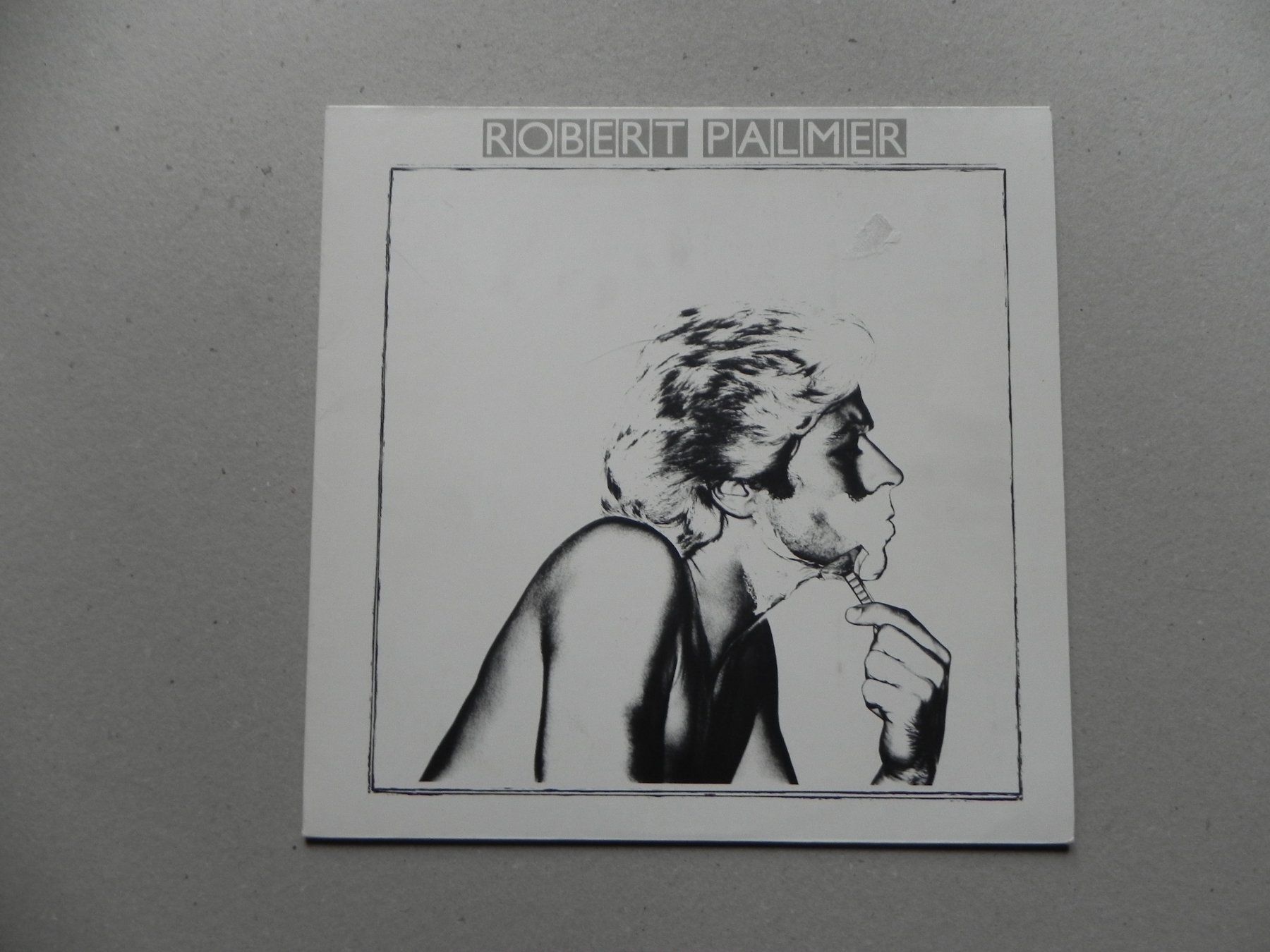 Schallplatten: LP brit. Pop Musiker Robert Palmer 1979 Secrets – Gebraucht aus Siebnen von krimsie