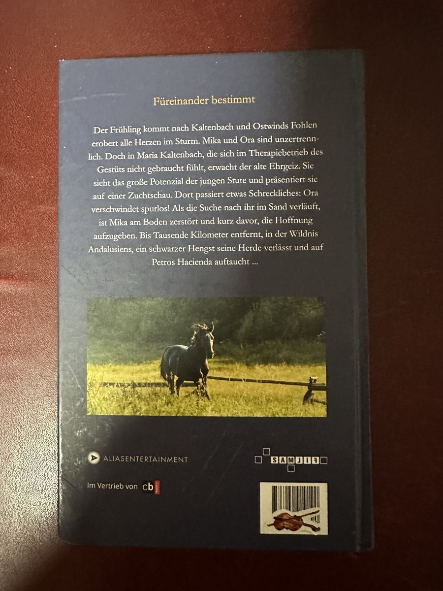 Libri: Buch Ostwind, Auf der Suche nach Morgen – Usato da Hittnau venduto da foxterrier01 1