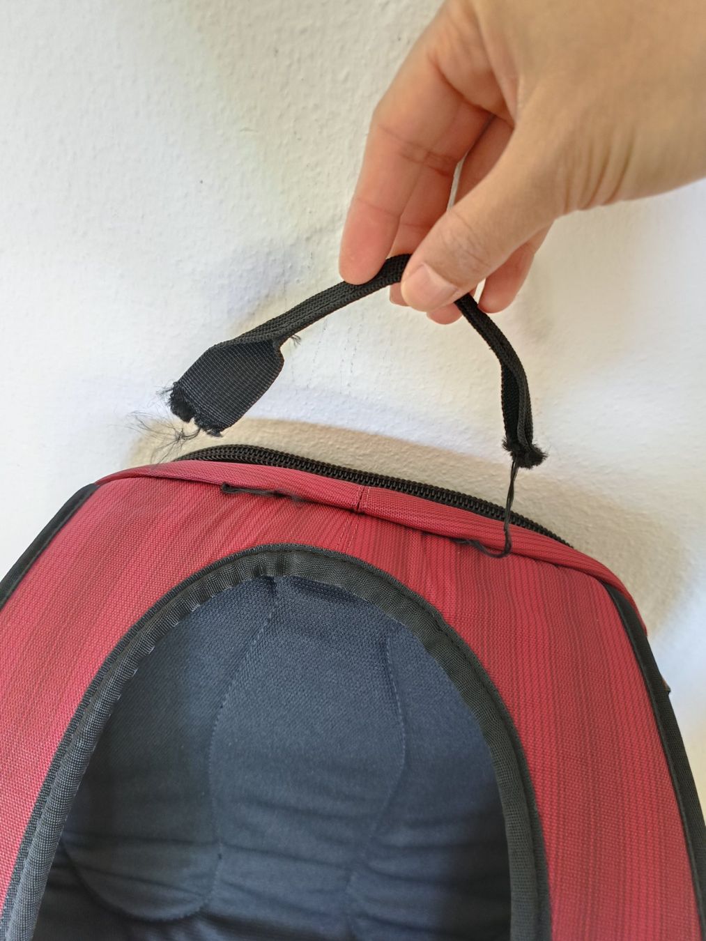 Jack Wolfskin Rucksäcke: Jack Wolfskin Rucksack Perfect Day Snuggle Up, violet – Gebraucht aus Oberhofen Thun'see von cri_6md2 2