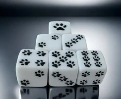 1 Stk. NEUER Würfel weiss mit schwarzen Pfoten - 225409