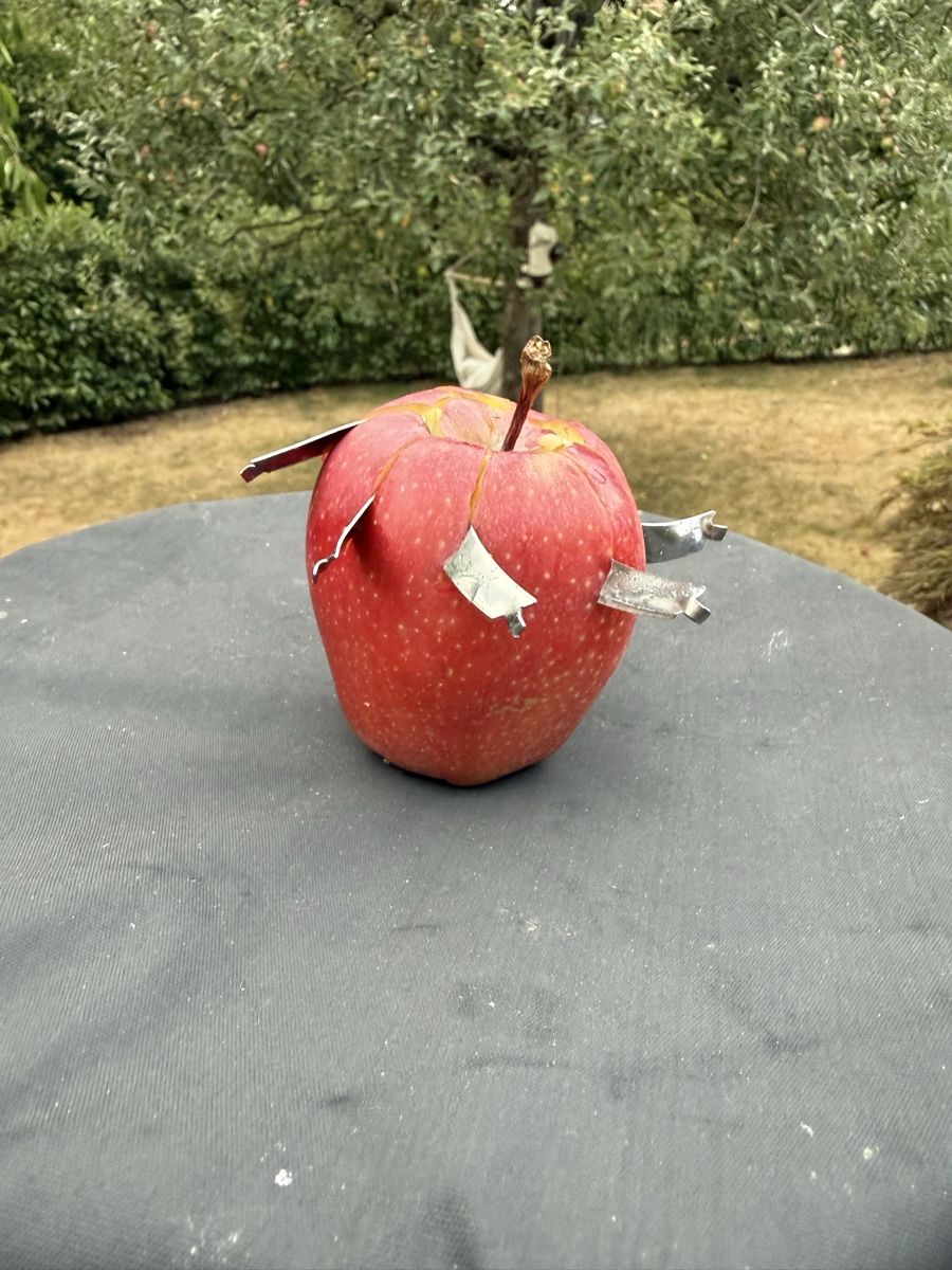Alle Dekorationen: Pomme décorative artisanale objet insolite collection unique – Neu (gemäss Beschreibung) aus Estavayer-le-lac von Verm1470 3