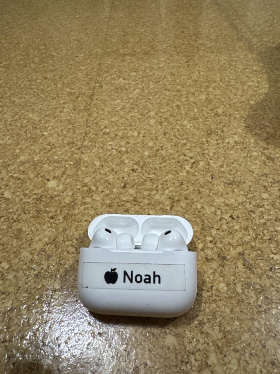 Apple Cuffie: Apple Air Pods Pro – Usato da Madiswil venduto da Noahx3m 1