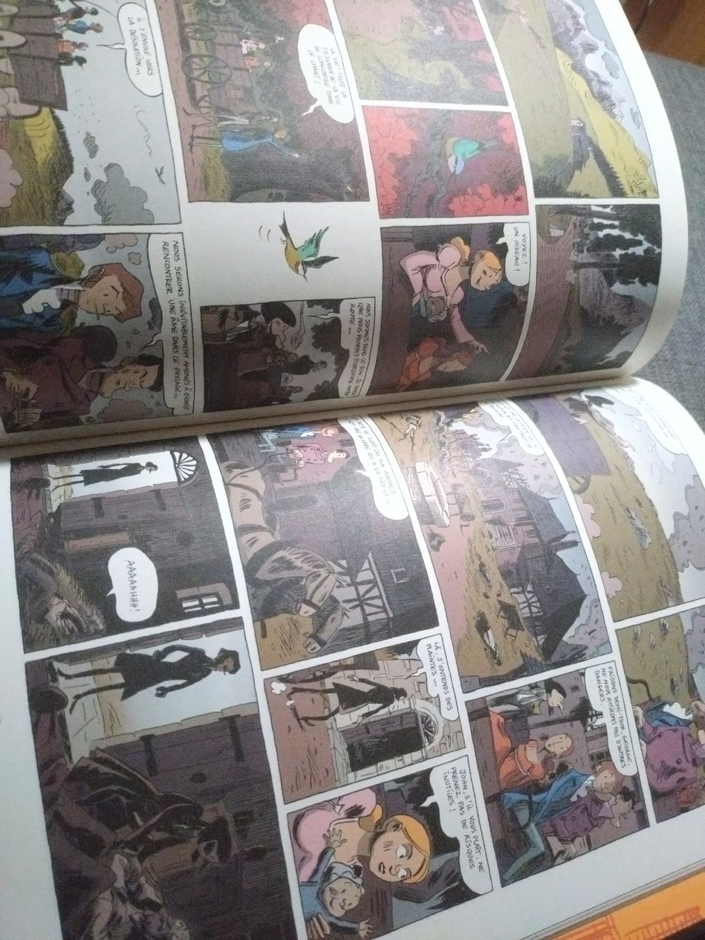 Fumetti: Mary Shelley, Casanave-Vandermeulen, EO – Usato da Farvagny-le-Grand venduto da LaCaverne 4