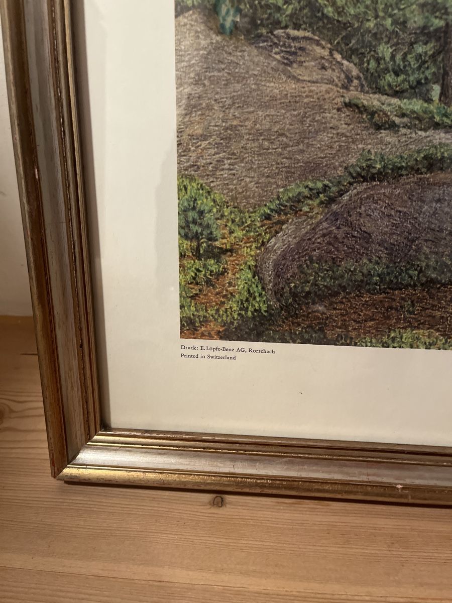 Foto & Immagini: Gottardo Segantini - Druck - Gerahmt – Usato da Zuoz venduto da Grr1974 2