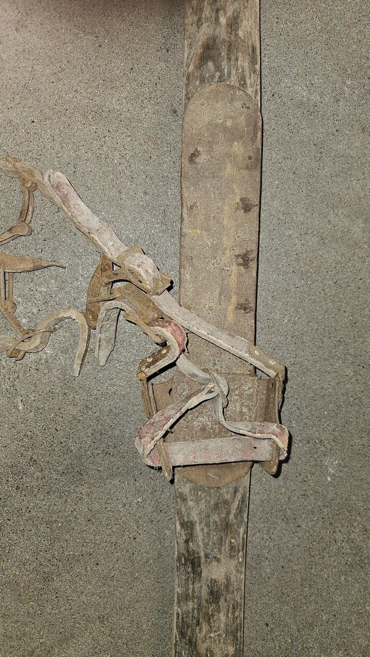 Skis: Holz Ski – Gebraucht aus Wald ZH von Walder8636 2
