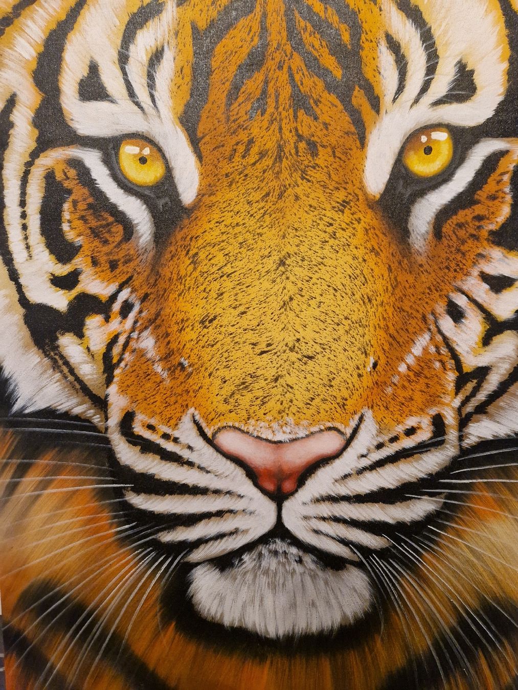 Foto & Immagini: Tiger Bild auf Leinwand, aus Bali – Usato da Winterthur venduto da kri_2786 2