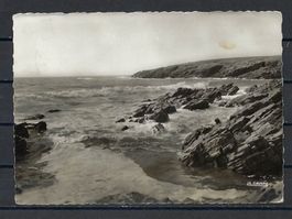 Postkarte Quiberon - La côte sauvage vers Port Kerné - 1951