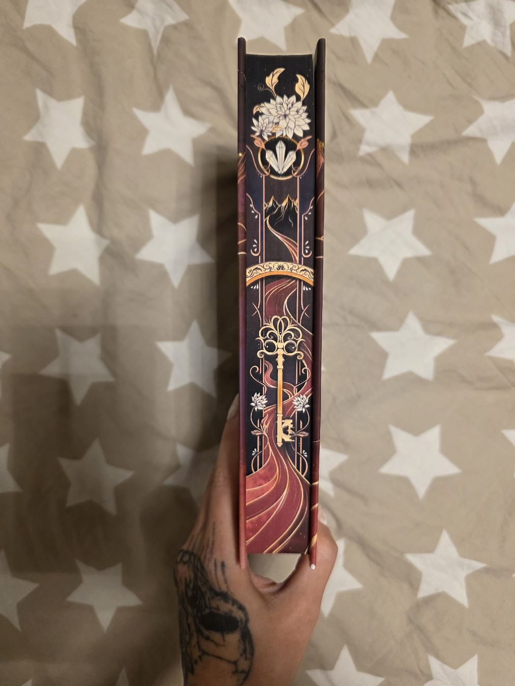 Bücher: fairyloot The river she became – Neu und originalverpackt aus Erlen von Noloka_green 4