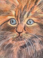 Katzenportrait, Pastellzeichnung, gerahmt, Unikat!