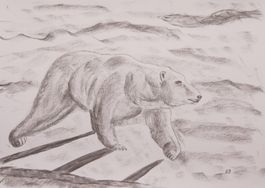 Gr. Zeichnung: Eisbär II