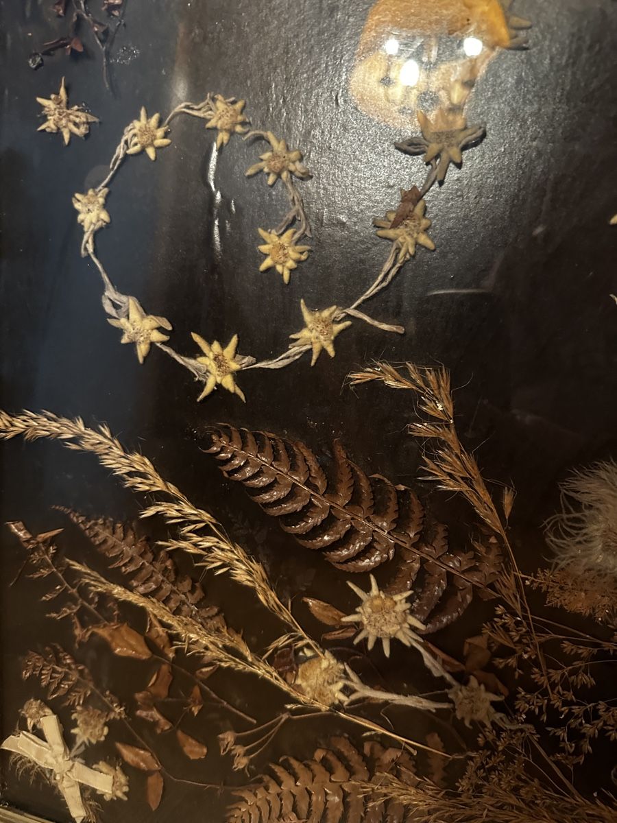 Dipinti:     Herbarium Kunstbild  – Usato da Bern venduto da HA-De 2